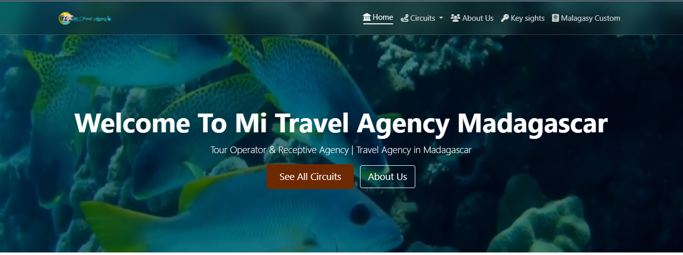 Mi Travel Agency